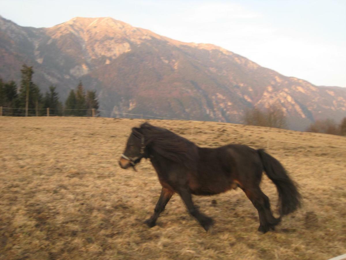 Haus Kaiser Passriach Kültér fotó